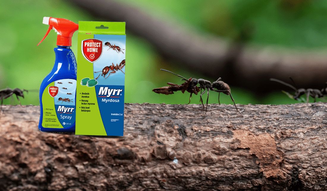 Effektiva myrmedel för hem och trädgård - HemSyd