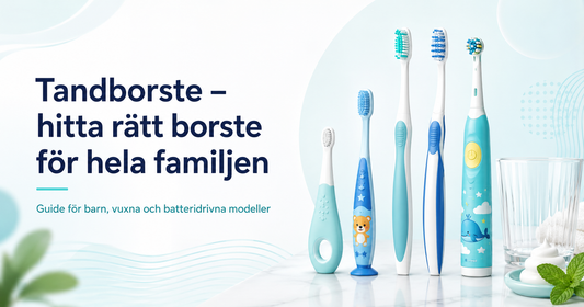 Tandborste – hitta rätt borste för hela familjen