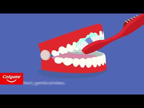 Colgate Tandkräm Kids Training 6-9 50 ml